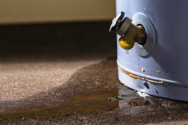 Crane, MO Water damage restoration Company
