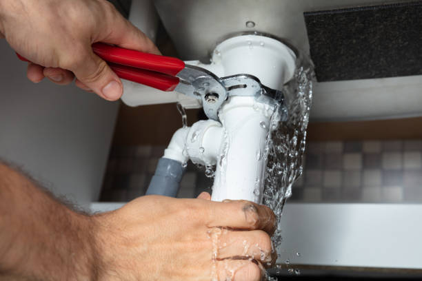 Best Water damage restoration near me  in Crane, MO