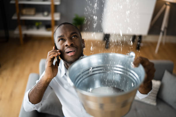 Best Sewage cleanup and water damage restoration  in Crane, MO