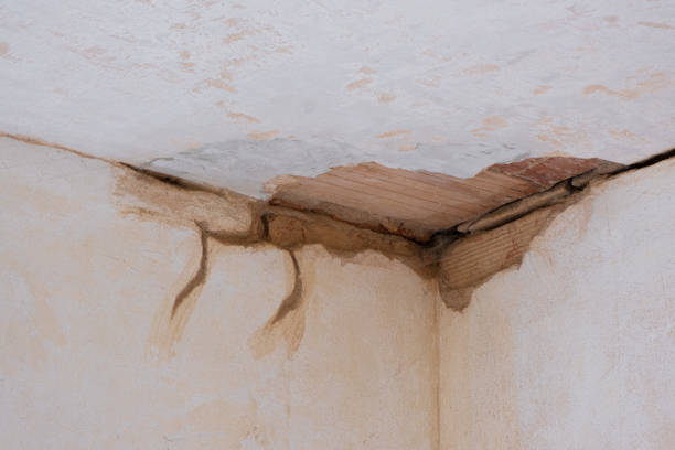 Best Water damage cleanup near me  in Crane, MO