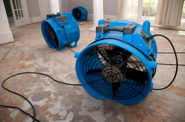 Sewage cleanup and water damage restoration in Crane, MO