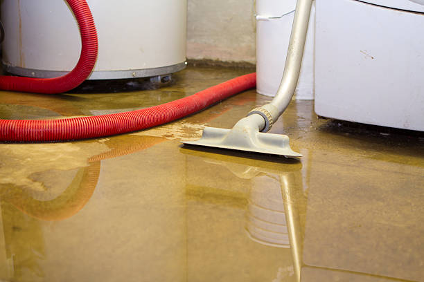 Best Mold removal after water damage  in Crane, MO