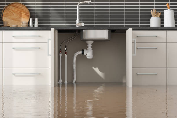 Best Fire Damage Restoration  in Crane, MO