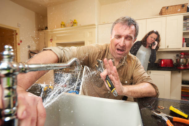 Best Water damage contractors near me  in Crane, MO